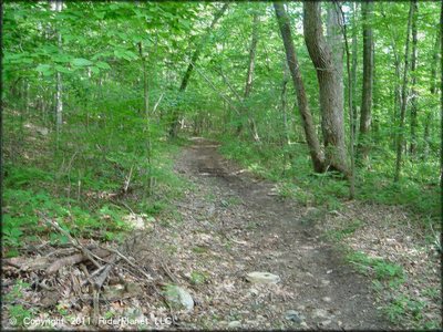 Pachaug State Forest Trail Map Mountain Bike Trails Near Pachaug State Forest