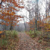 Views towards the north on the Taconic Skyline trail.