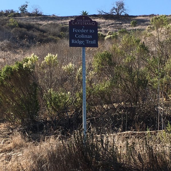 The unofficial -  official beginning of Colinas Ridge. At the dog park parking lot, it's signed as "To Colinas Bluff Trail".