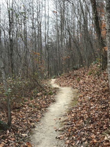 Aggressive downhill bumps give the Twin Lakes Trail great flow.