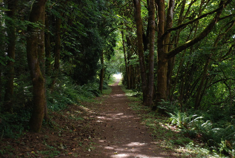 Ellen Davis Trail