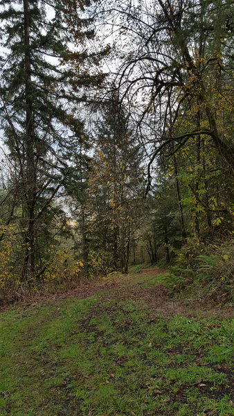BPA Road
