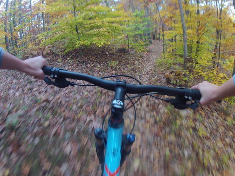 Riding at Camp Tuscazoar during the fall is a great way to enjoy the autumn colors.