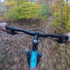 Riding at Camp Tuscazoar during the fall is a great way to enjoy the autumn colors.