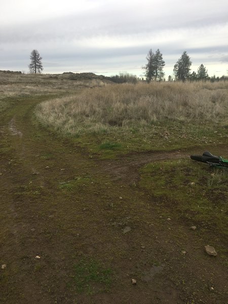 Be looking for the beginning of the singletrack trail taking off to your left about 1.75 miles from the trailhead.