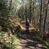 Low down on the Crescent Lake Trail.
