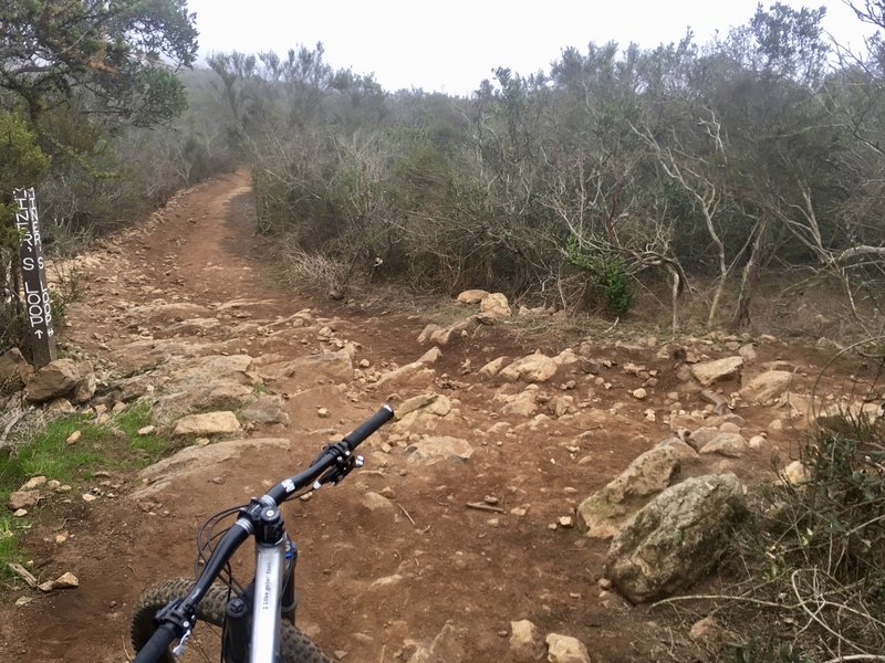 This particular intersection is on a DH section of trail, and while marked, it is easy to miss at speed. Turn right to depart the singletrack for the fire road to the summit.
