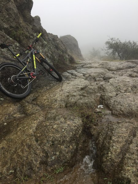 Traction is awesome on the Oat Hill Mine Trail, even during a rainstorm.