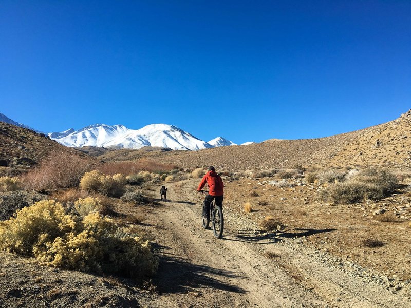 Little Pine-McMurry Loop