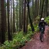 Pedaling along the Bonnie and Clyde's Trail at Little Mountain Park, Mount Vernon, WA.