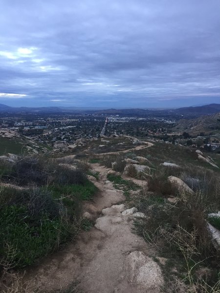 6 a.m. on Two Trees Trail means singletrack all to yourself.