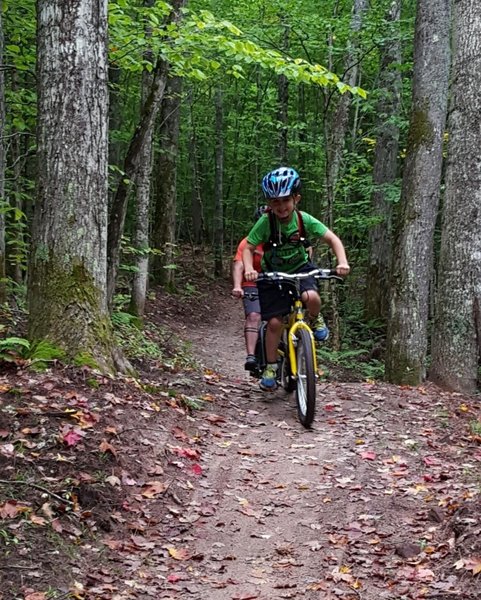 singletrack mtb