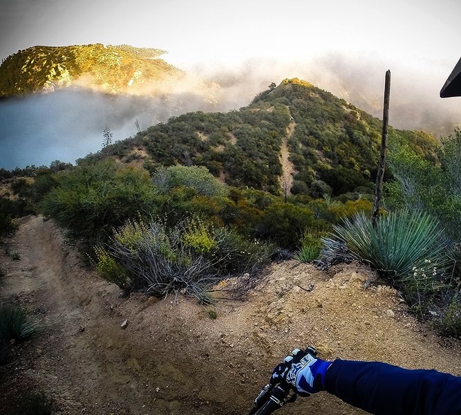 Middle Sam Merrill on a fall evening.