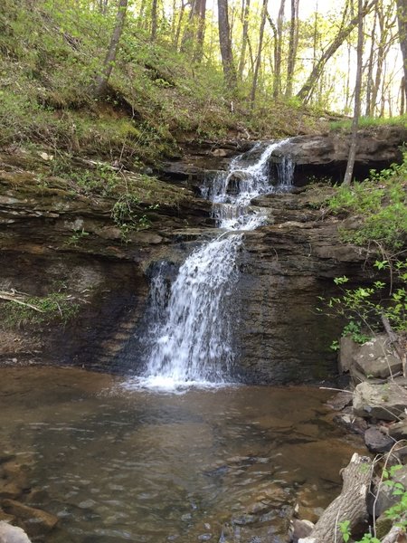 Green Mountain Preserve Mountain Bike Trail, Owens Cross Roads, Alabama