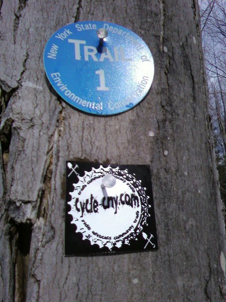 DEC trail markers at Oakley Corners State Forest.