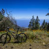 The Pista Boca del Valle trail features views of the Atlantic Ocean, Gran Canaria Island, and sometimes spring wildflowers too.
