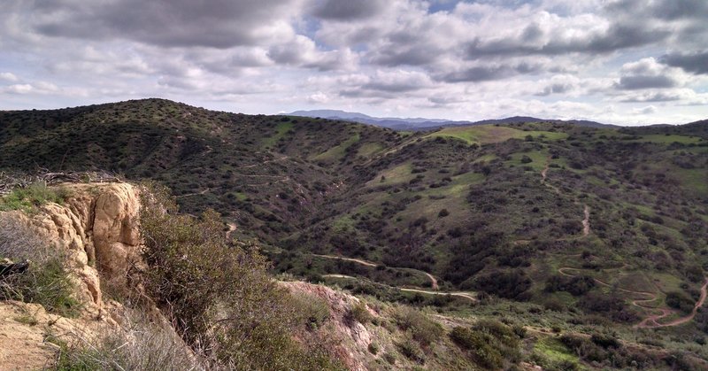 Grasshopper Trail
