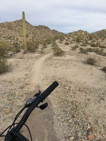 A gentle warm-up section near the start of the Estrella Foothills Loop.