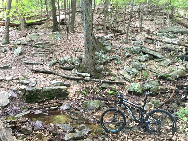 You'll have to navigate this creek crossing on a ride at Cacapon Resort State Park.