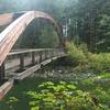 Admiring the nearby bridge over the Middle Fork of the Snoqualmie River.