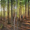 Rooty cross-country-singletrack bliss awaits in Oakley Corners State Forest.