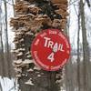 A NYS DEC trail marker denotes Red 4 in Jenksville State Forest.