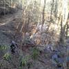A picture doesn't do justice to the steepness of the waterfall climb! And the killer switchbacks that follow!