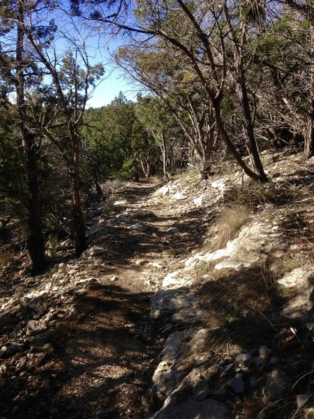 Expect to pass through this type of terrain along the Boot Trail.