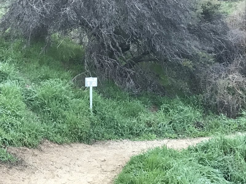 This 1 mile marker lets you know how far you've come along the Thunderbird Trail.