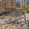 Navigate many crossings of Frady Branch along the Frady Branch Trail.