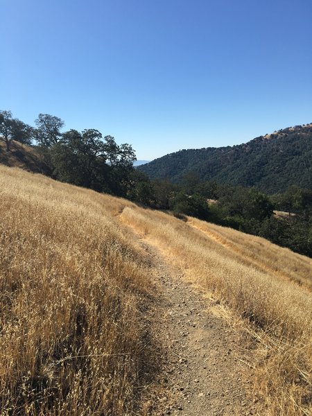Jackson Trail side-cuts through the dry grass.