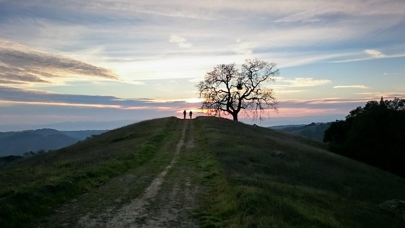 Silhouettes stand on Steer Ridge Road at sunset.