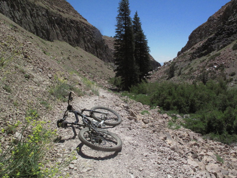 Enjoy this view half way down the third section of Lower Rock Creek Trail, right after a brief (for most of us) hike-a-bike section.