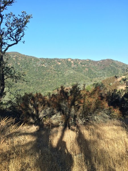 Grapevine Trail