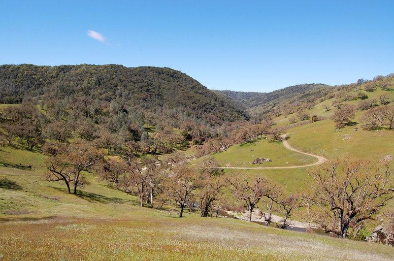 Willow Ridge Road