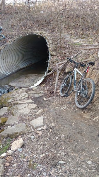 A drainage pipe crosses under Paper Mill Road. Ride on!