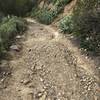 There are large rocks on parts of the Arroyo Trabuco Trail.