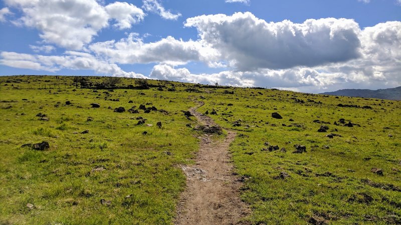 Rocky Ridge Trail