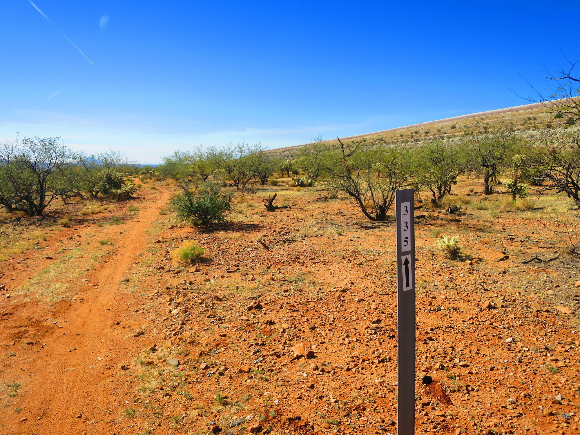 The Green ValleySouth Desert Trails offer buff singletrack through Tucson's pleasant desert