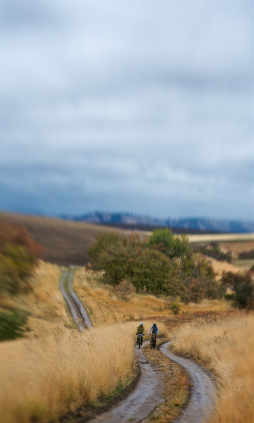 Whitetail Trail