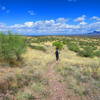 This is a glimpse at just some of the great singletrack out in the Tubac Shakur Loops.