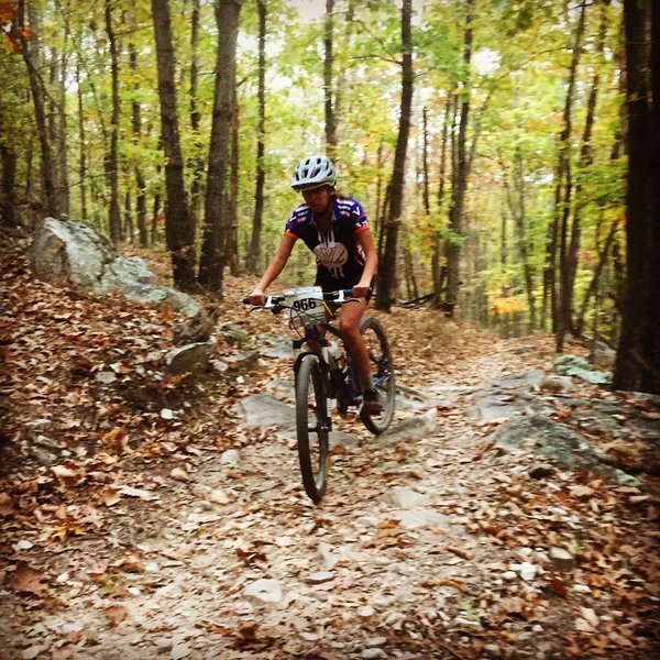 Bedford mountain bike trail online