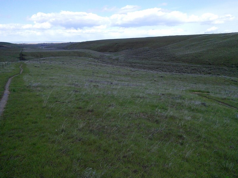 Shayne's Trail