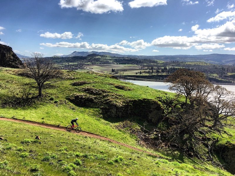 Spring brings a new beauty and color to the trails.