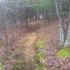 This is one of the hand-built singletrack trails featured on the ride.