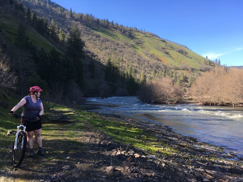 Klickitat Trail Klickitat River Segment Mountain Bike Trail