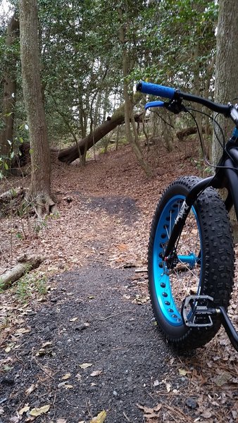 salisbury mountain bike trails