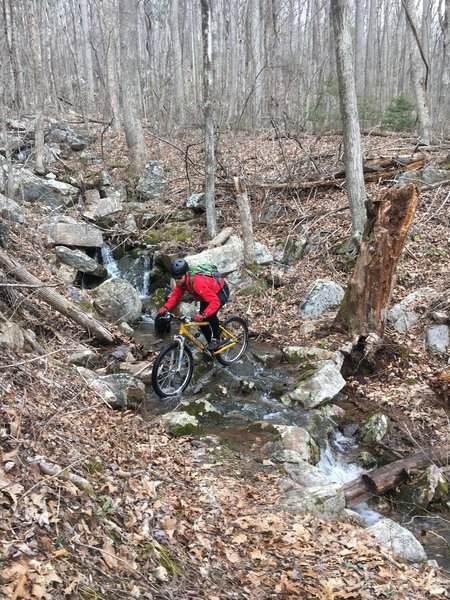 You'll have to cross numerous creeks on the Dry Run Trail.