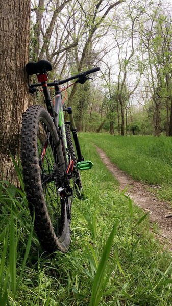 a lovely April ride on the stinging nettle trail.