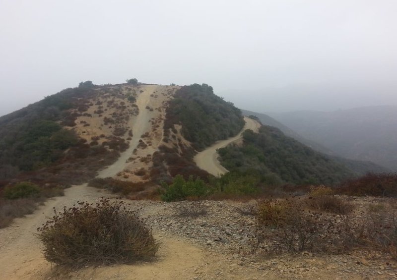 Sullivan Canyon - Westridge Singletrack Loop